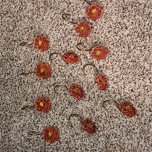 Set of twelve shower curtain hooks